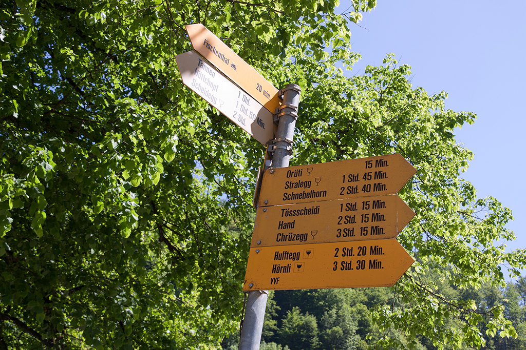 Start in Steg.jpg